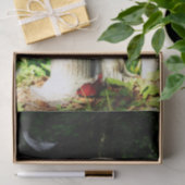 Weinen Seidenpapier (Geschenk)