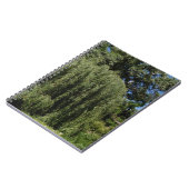 Weinende Weide-Baum Notizblock (Linke Seite)