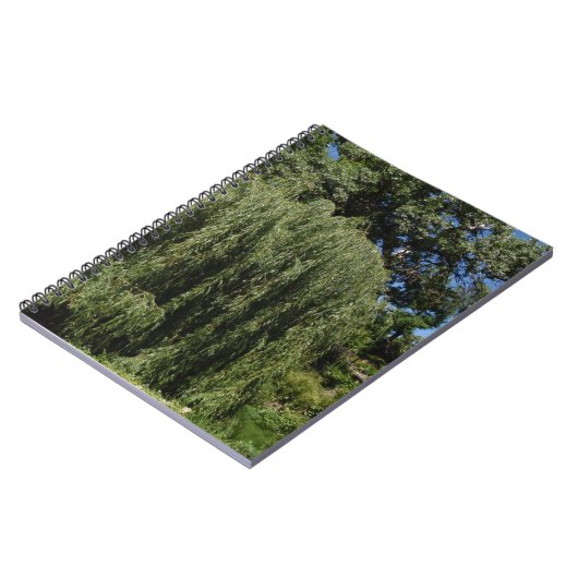 Weinende Weide-Baum Notizblock (Linke Seite)