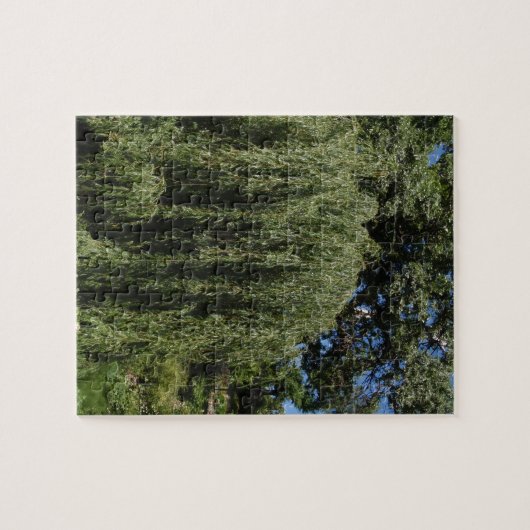 Weinende Weide-Baum Puzzle (Horizontal)
