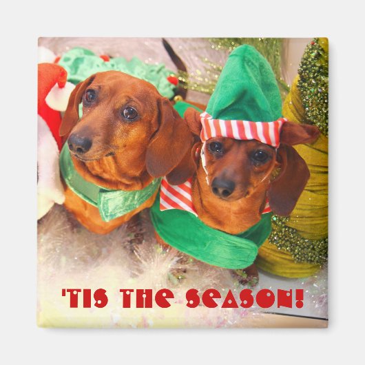 Weiner Dog Christmas Elf Magnet (Vorne)