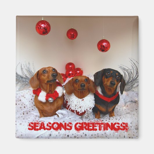 Weiner Dog Christmas, "Frohe Festtage!" Magnet (Vorne)