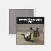 Weiner Dog Halloween Magnet (Vorderseite/Rückseite)