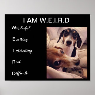 Weiner Hunde Poster