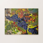Weinernte Trauben Herbstfarben Jigsaw Puzzle (Horizontal)