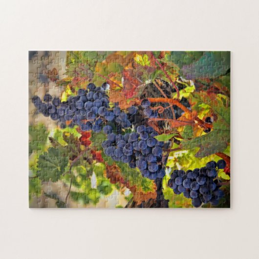 Weinernte Trauben Herbstfarben Jigsaw Puzzle (Horizontal)