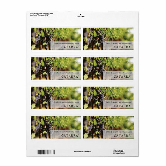 Weinetikett Catarra (Vorne)