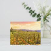 Weingarten bei Dawn Kelowna British Columbia Kanad Postkarte (Stehend Vorderseite)