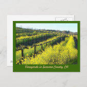 Weingärten mit Senfsaat Sonoma Landkreis Postkarte (Vorne/Hinten)