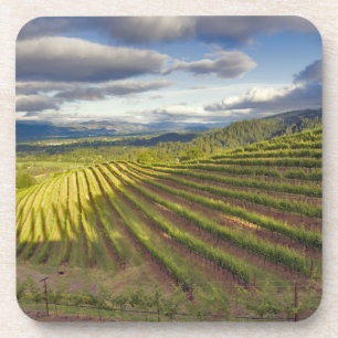 Weingarten. Napa Valley. Napa. Napa County, Getränkeuntersetzer