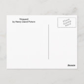 Weingarten Postkarte (Rückseite)