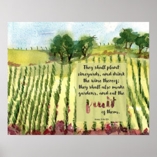 Weingarten Schrift Amos Wein Trauben Aquarell Poster