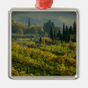 Weingarten, Toskana, Italien Ornament Aus Metall