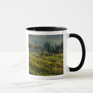 Weingarten, Toskana, Italien Tasse