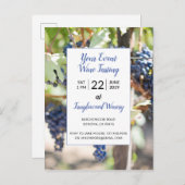 Weingarten Weinroute Mendrisiotto Weinkultur und E Einladungspostkarte (Vorne/Hinten)