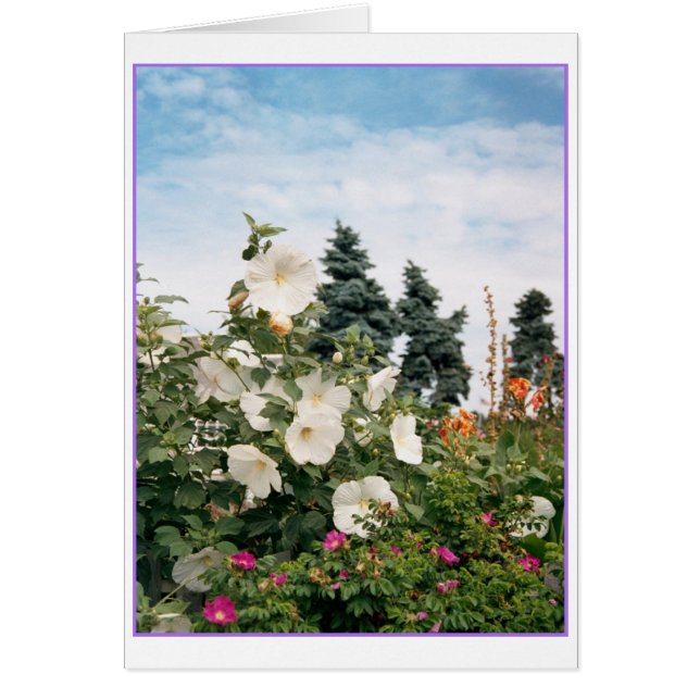 Weingartenkarte (Vorne)