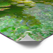 Weingartenposter Poster (Ecke)
