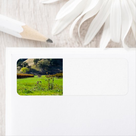 Weingärtner (Insitu)