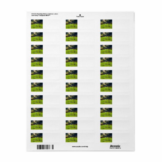 Weingärtner (Vorne)