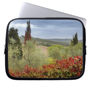 Weingut bei Montalcino, Toskana, Italien Laptopschutzhülle