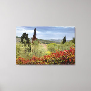 Weingut bei Montalcino, Toskana, Italien Leinwanddruck