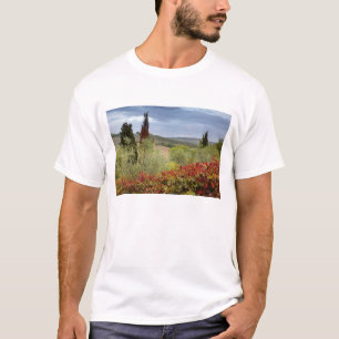 Weingut bei Montalcino, Toskana, Italien T-Shirt