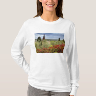 Weingut bei Montalcino, Toskana, Italien T-Shirt