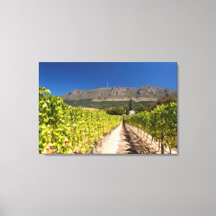 Weingut, Kapstadt, Westkap, Südafrika 2 Leinwanddruck