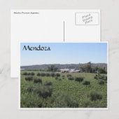 Weingut Mendoza Postkarte (Vorne/Hinten)