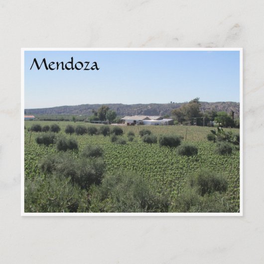 Weingut Mendoza Postkarte (Vorderseite)