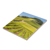 Weingut, Stellenbosch, Westkap Fliese (Seite)