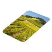 Weingut, Stellenbosch, Westkap Magnet (Linke Seite)