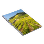 Weingut, Stellenbosch, Westkap Notizblock (Rechte Seite)