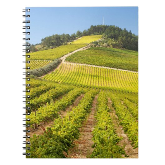 Weingut, Stellenbosch, Westkap Notizblock (Vorderseite)
