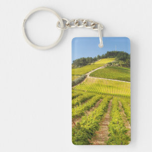 Weingut, Stellenbosch, Westkap Schlüsselanhänger