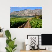 Weingüter des Groot Constantia Weinguts Poster (Heimbüro)