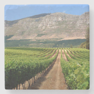 Weingüter vom Groot Constantia Weingut Steinuntersetzer