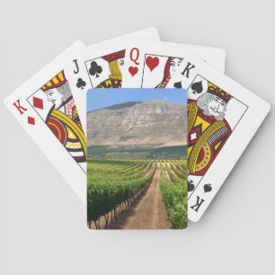 Weingüter vom Groot Constantia Wine Estate Spielkarten