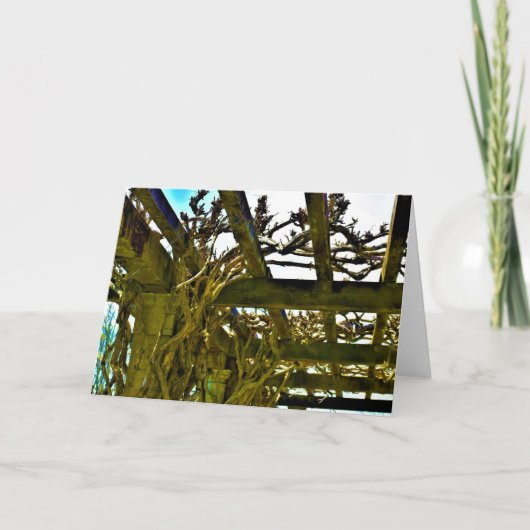 Weinkarte Karte (Vorderseite)