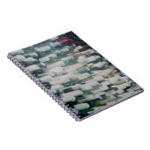 Weinkeller 2012 notizblock (Rechte Seite)