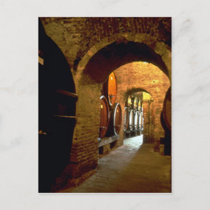 Weinkeller in Montepulciano, Toskana, Italien Postkarte