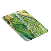 Weinkeller und Weine des Mendrisiotto Magnet (Rechte Seite)