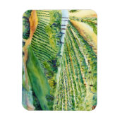 Weinkeller und Weine des Mendrisiotto Magnet (Vertikal)