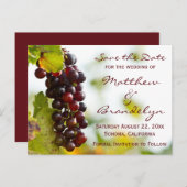 Weinkeller und Weintrauben Save the Date Postkarte (Vorne/Hinten)