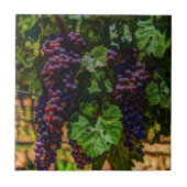 Weinkeller Weinkeller und Weine Weinroute Weinkell Fliese (Vorderseite)