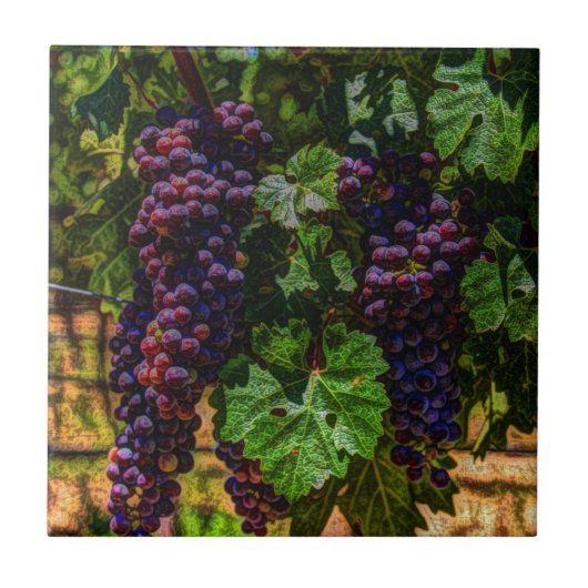 Weinkeller Weinkeller und Weine Weinroute Weinkell Fliese (Vorderseite)