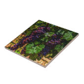 Weinkeller Weinkeller und Weine Weinroute Weinkell Fliese (Seite)