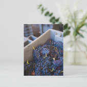 Weinkellerei Bodega Marques de Riscal, Trauben Postkarte (Stehend Vorderseite)