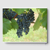 Weinkellerei nach Kundenwunsch Gästebuch (Rückseite)