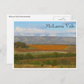 Weinkellerei Postkarte (Vorne/Hinten)